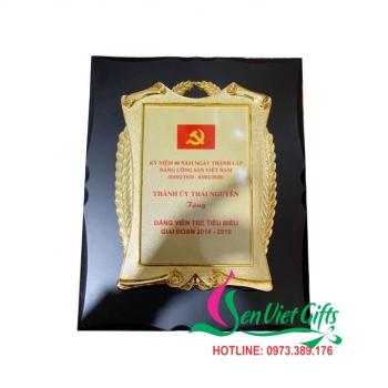 Kỷ Niệm Chương Đồng Gỗ 35