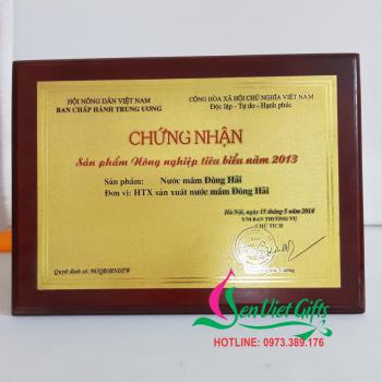 Kỷ niệm chương đồng gỗ 40