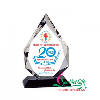 Cúp lưu niệm - Quà tặng họp lớp 15