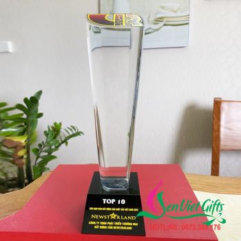Cúp pha lê chế tác 171