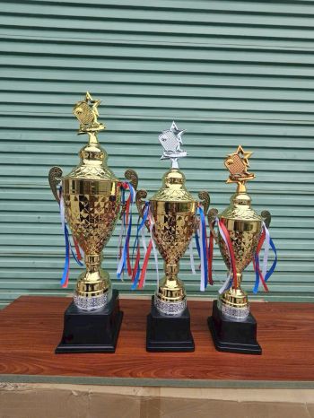 Cúp Pickleball M3