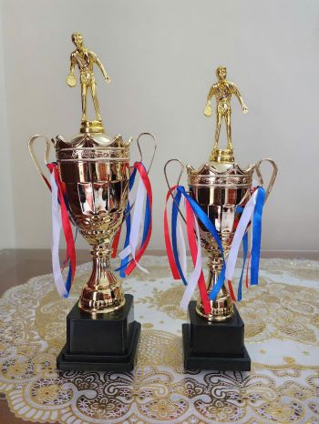 Cúp Giải Bóng Bàn
