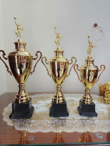 Cúp Giải Bóng Chuyền