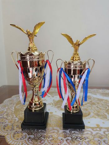 Cúp Giải Thi Chim