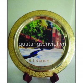 BIỂU TRƯNG ĐĨA ĐỒNG 09