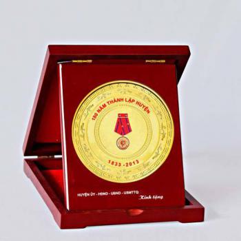 BIỂU TRƯNG ĐĨA ĐỒNG 10