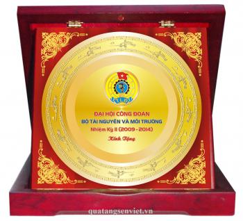 BIỂU TRƯNG ĐĨA ĐỒNG 23