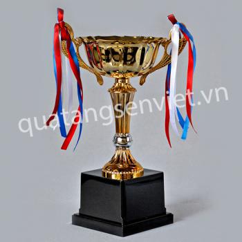 CÚP ĐỒNG 01