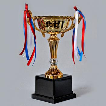 CÚP ĐỒNG 08