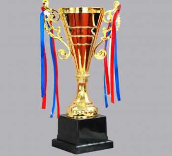 CÚP ĐỒNG 09