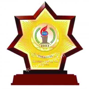 KỶ NIỆM CHƯƠNG ĐỒNG GỖ 08