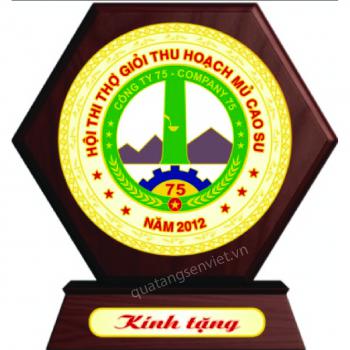 KỶ NIỆM CHƯƠNG ĐỒNG GỖ 10