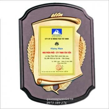 Kỷ Niệm Chương Đồng Gỗ 27