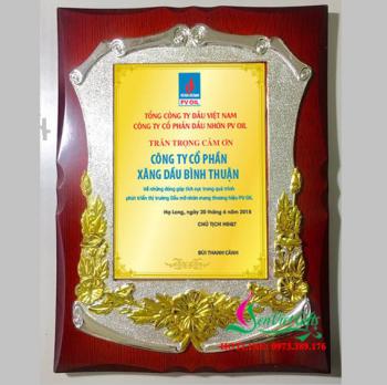 Kỷ Niệm Chương Đồng Gỗ 30