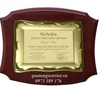Kỷ Niệm Chương Đồng Gỗ 31