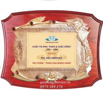 Kỷ Niệm Chương Đồng Gỗ 33