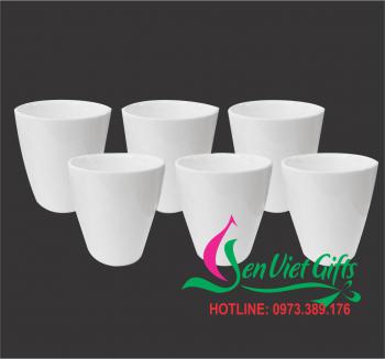 Ca Sứ Minh Châu 24